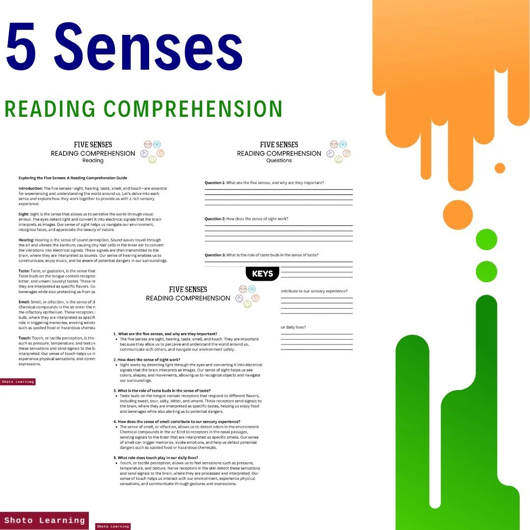 FIVE SENSES ワンブロー Explore the 5 Senses with Fun Crossword Puzzles for Kids